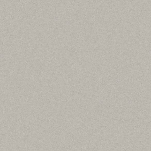 Foshan Pure Color Ceramic Tile for Five Star Hotel Decoration (600*600mm)