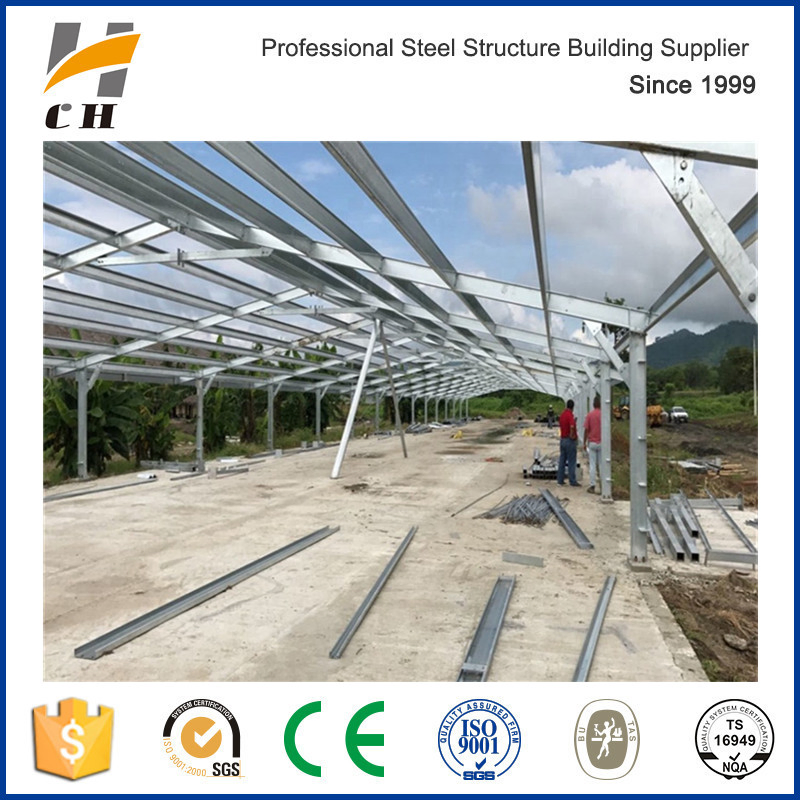 Galvanized Steel Beam/Galvanized Steel Column for Chicken Farm