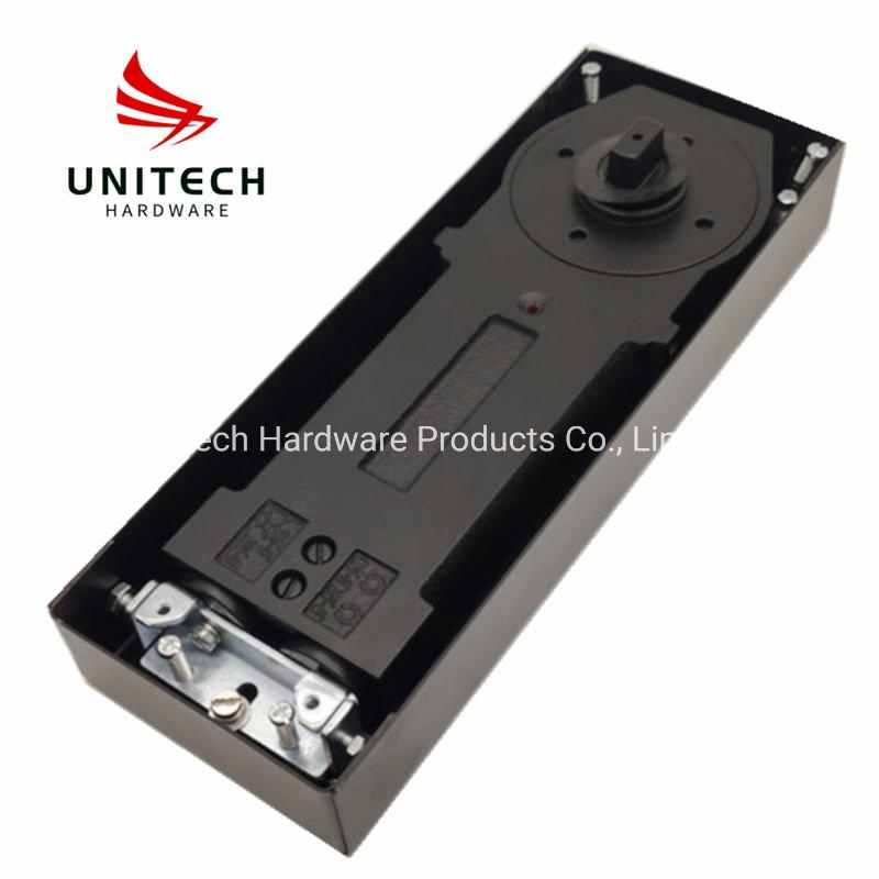 Stainless Steel 304 Double Cylinder Hydraulic Floor Spring Glass Door Closer Hinge
