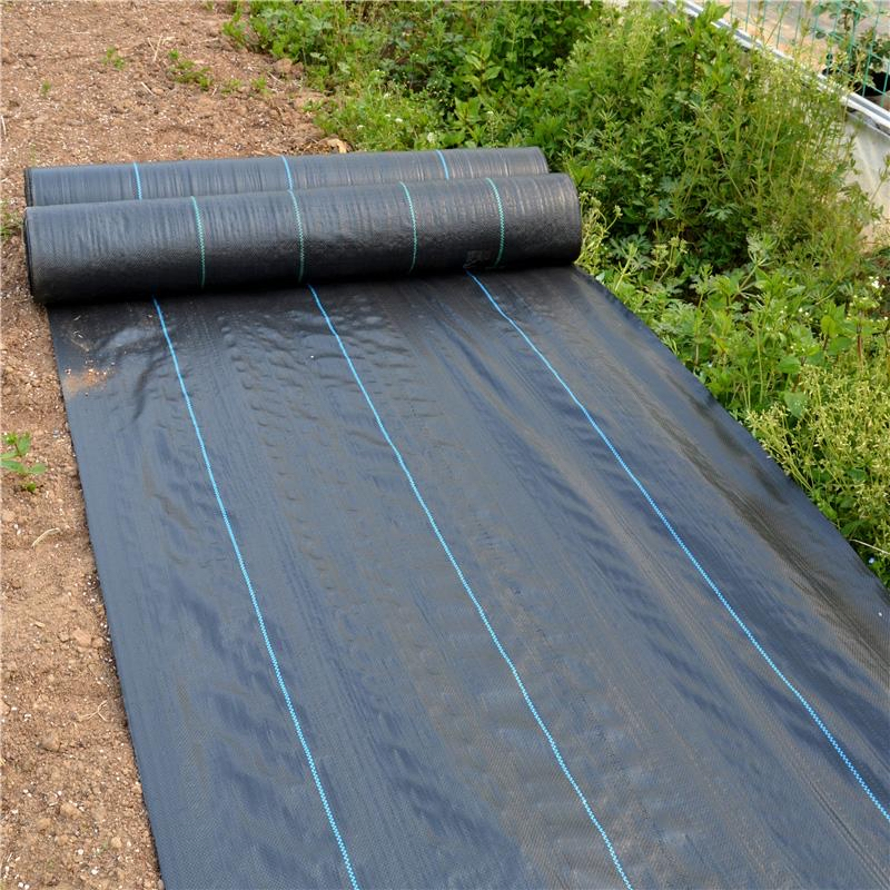 Polyester/Polypropylene Woven Geotextile 80-150G/M2 Agricultural Material