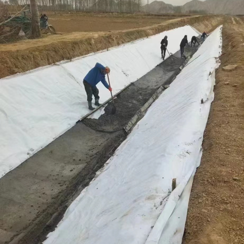 Long-Lasting PP/Pet Nonwoven Geotextile Solution for Drainage and Containment