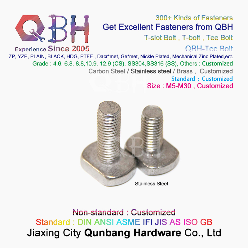 Qbh Stainless Steel SS304 SS316 T Sliding Slot T-Sliding Bolt