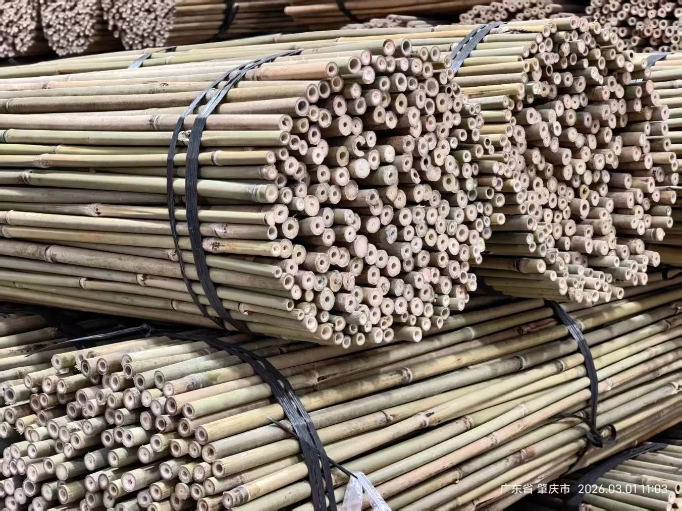 Tonkin Bamboo Pole Stake Stick Cane for Plant/Tree/Flower Support Bamboo F