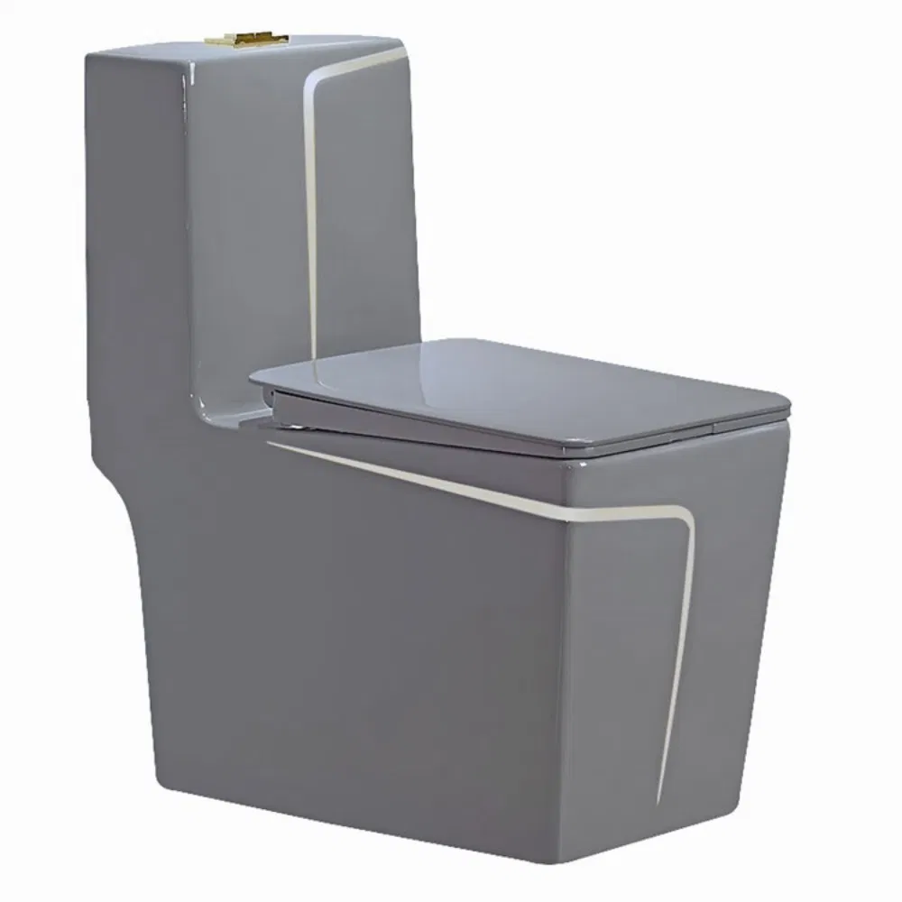 One-Piece Rough-in Ceramic Toilet White Toilet Bowl Rare Earth Antibacterial Glaze Slow Down Cover Seat Siphon Wc