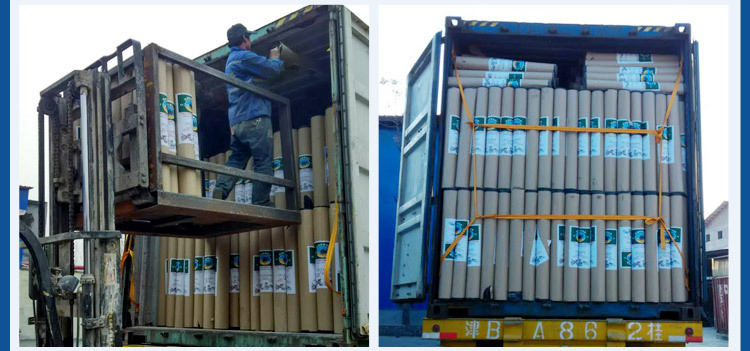 Camel Brand Roofing Felt in China