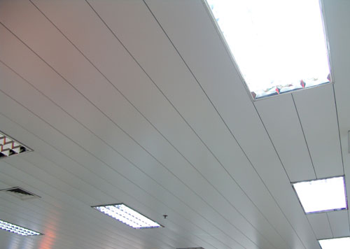 Factory Outlet Customized Aluminium Alloy 1060 Color Coated Aluminium Coil for Metal Ceiling Strip Ceiling
