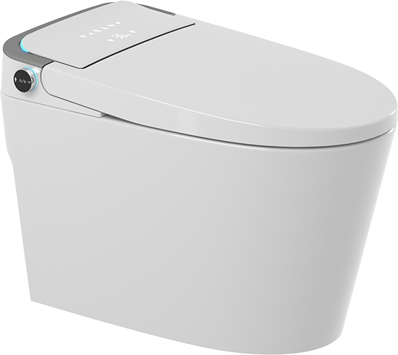 Bestselling Fashion Smart Toilet Ceramic Remote Control Intelligent Toilet Seat