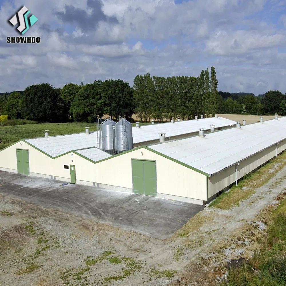 Chicken House Poultry Farming Broiler House Wall Seat Cheap Price Design Kenya
