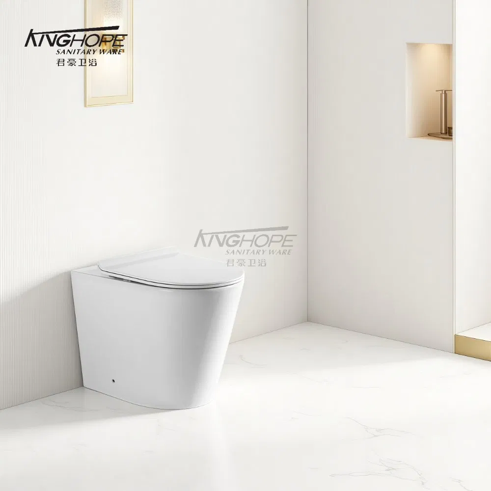 Luxury Design Ceramic Rimless Floor Standing Bathroom Toilet Sanitary Ware