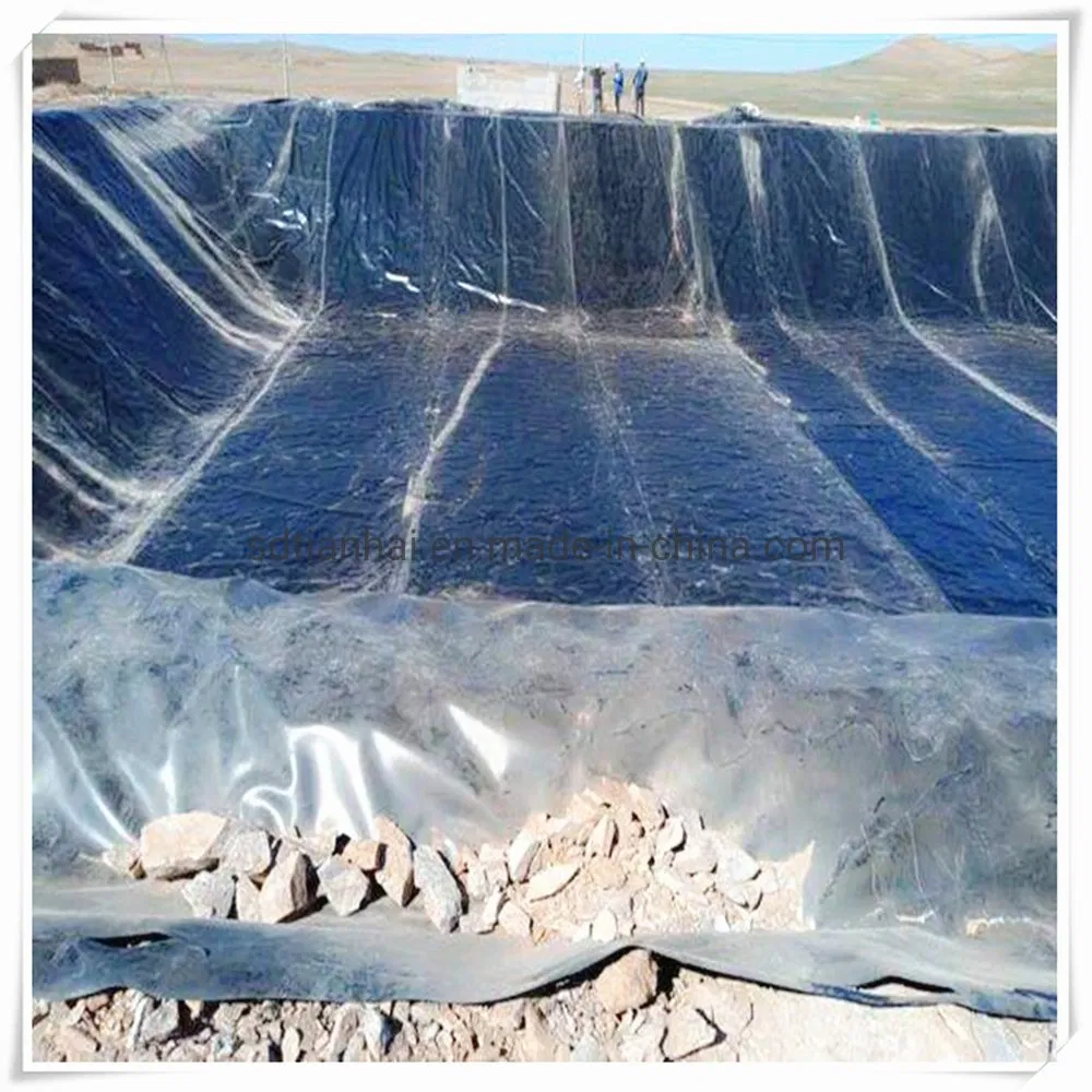 0.5mm HDPE Liner/Pond Liner for Shrimp Farming