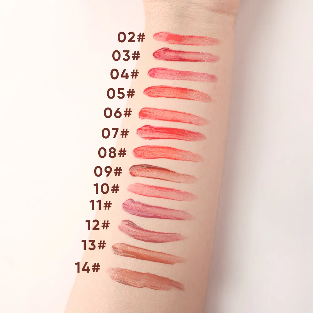 High Pigment Glossy Liquid Lipstick No Logo Vegan Lipgloss Custom Essence Lip Gloss