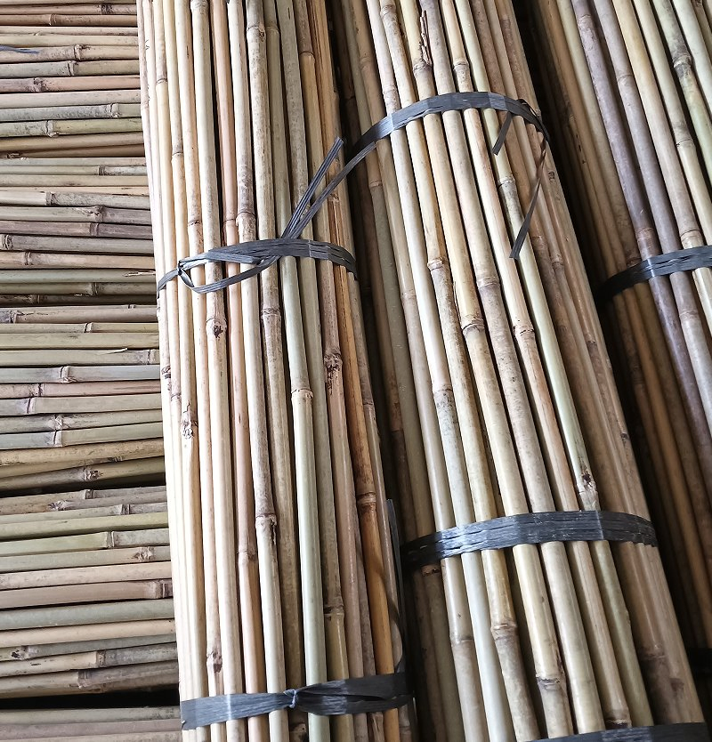 Bamboo Handle /Cheap and High-Quality Bamboo Poles