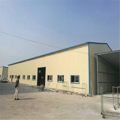 Self-Owned Factory High Wind Load Seismic Prefabricated Steel Structure Warehouse