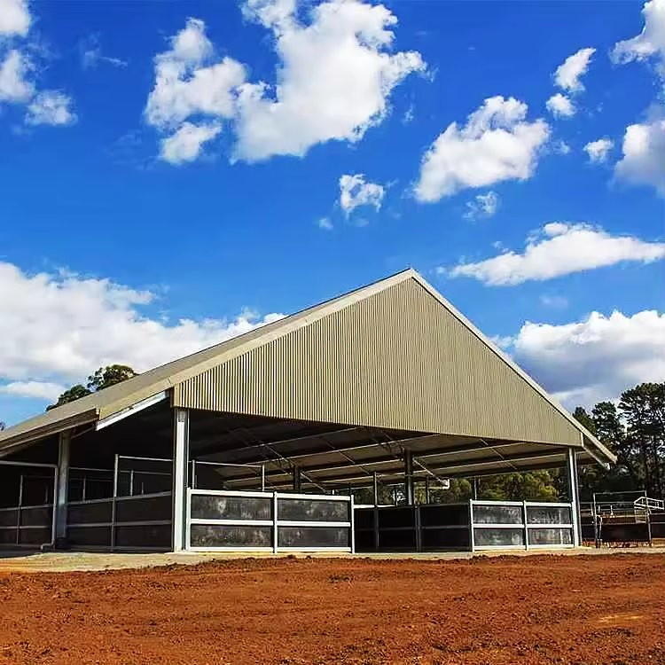 H Section Steel Steel Structure Prefab Storage Shed for Farm