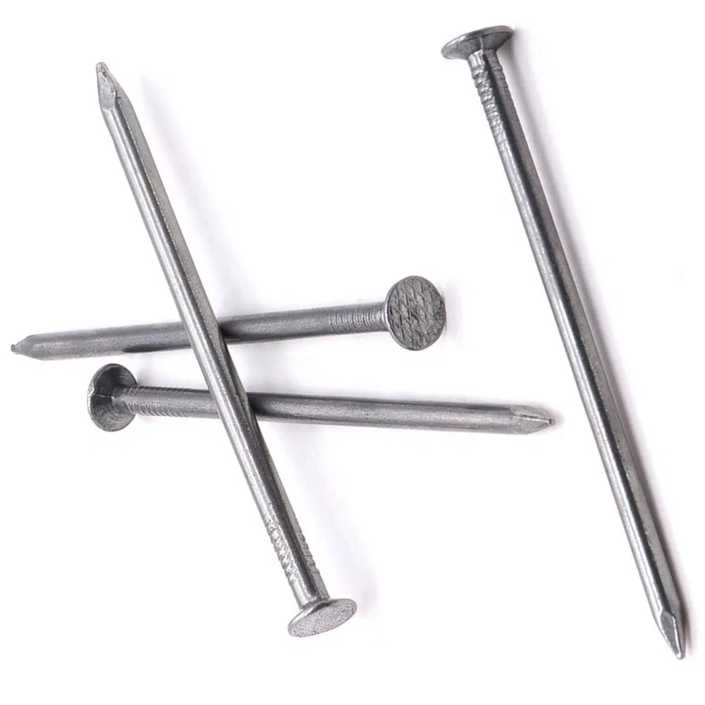 Hot Dipped Galvanized Polished Smooth Shank Common Iron Wood Nail/Clavos for Building