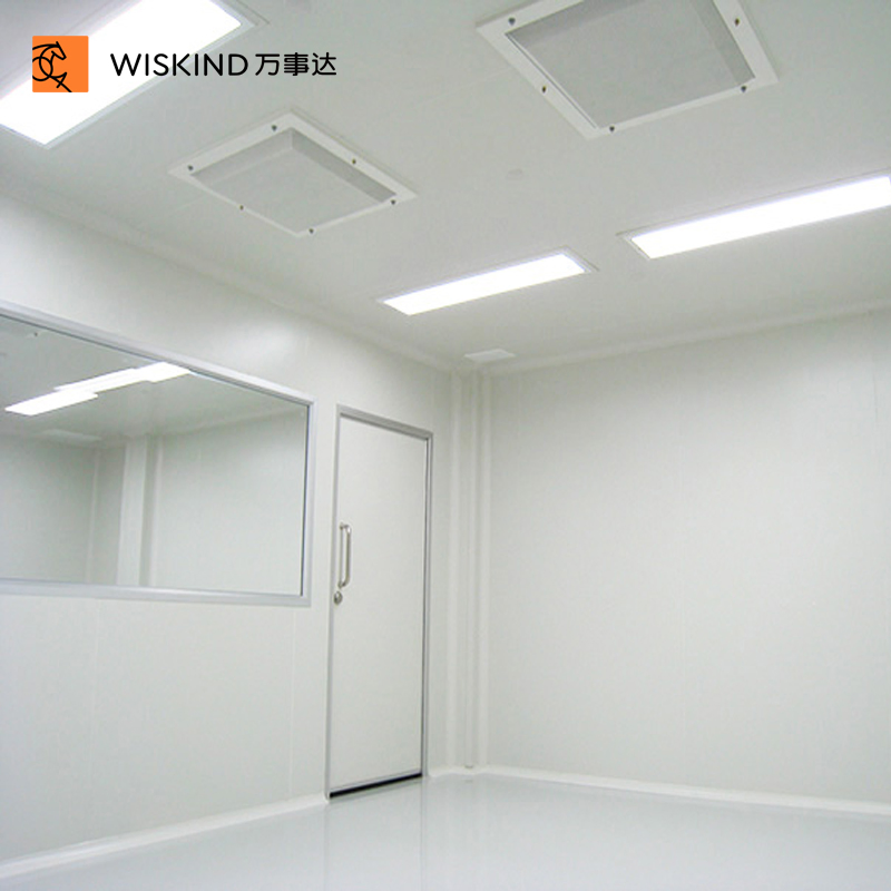 Ralcolor GMP Standard Single&Double Steel/ Ss Steel Cleanroom Door Used for Pharmaceutical Factories