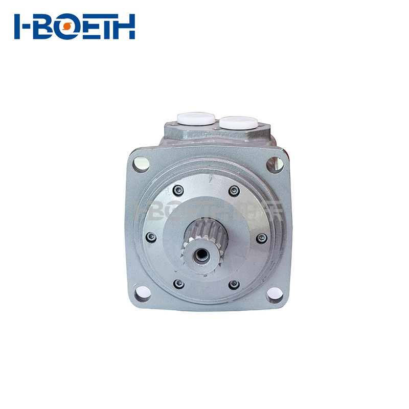 Bmvs Series Disk Distribution Cycloidal Hydraulic Motor Bmvs-250 Bmvs-315 Bmvs-400 Bmvs-500 Bmvs-630 Bmvs-800 Bmvs-1000 Bmvs-1250 Bmvs-1600