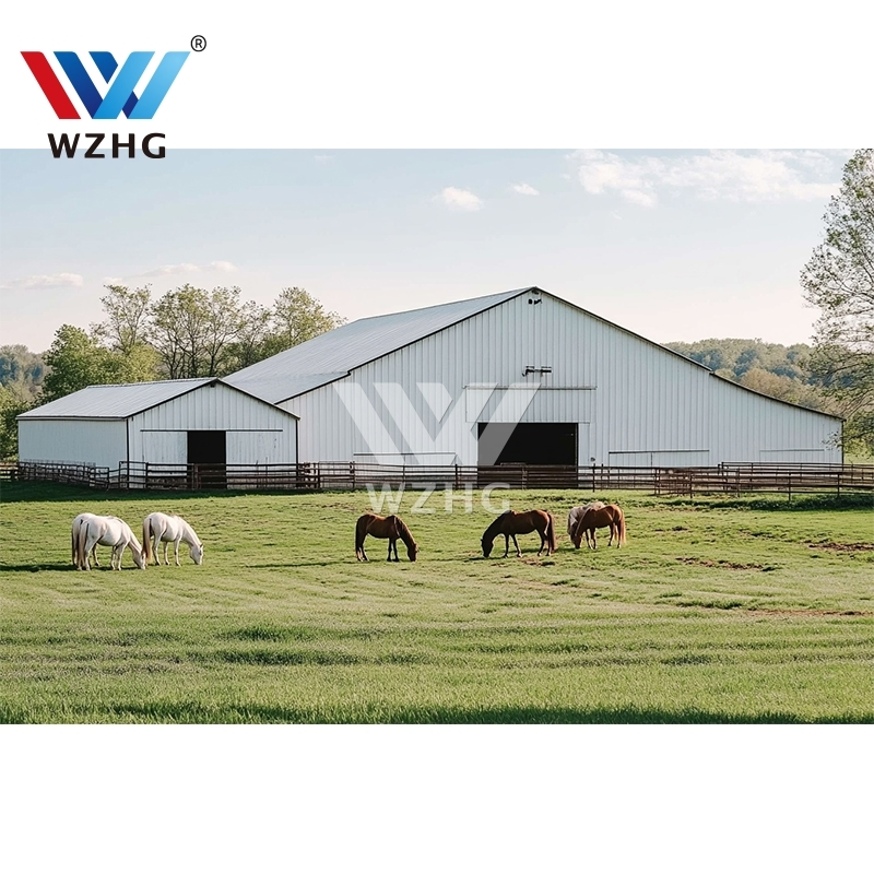 Customized Economic Steel Frame Structure Building Prefab Warehouse
