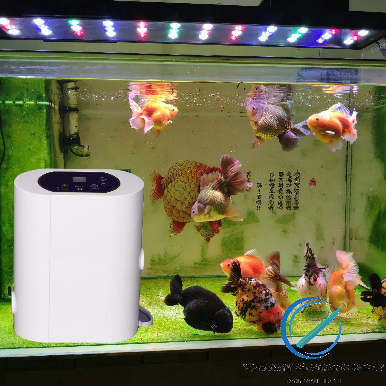 Portable Ozone Vegetable & Fruit Purifier Machine Ozono Generator