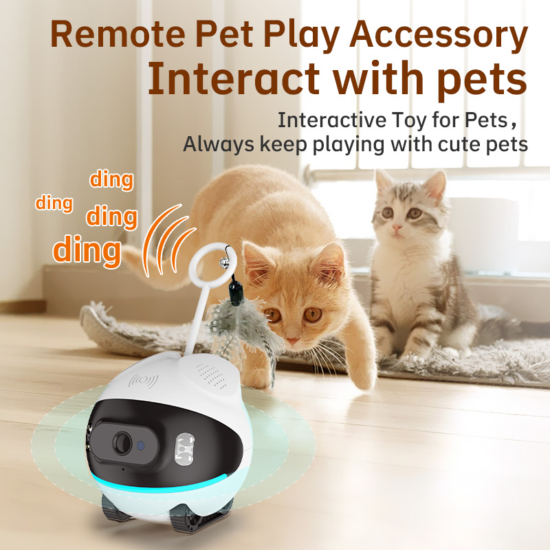 Multi-Pet Family Wireless Reusable Plastic Pet Camera Internet Monitor, Suitable for All Seasons