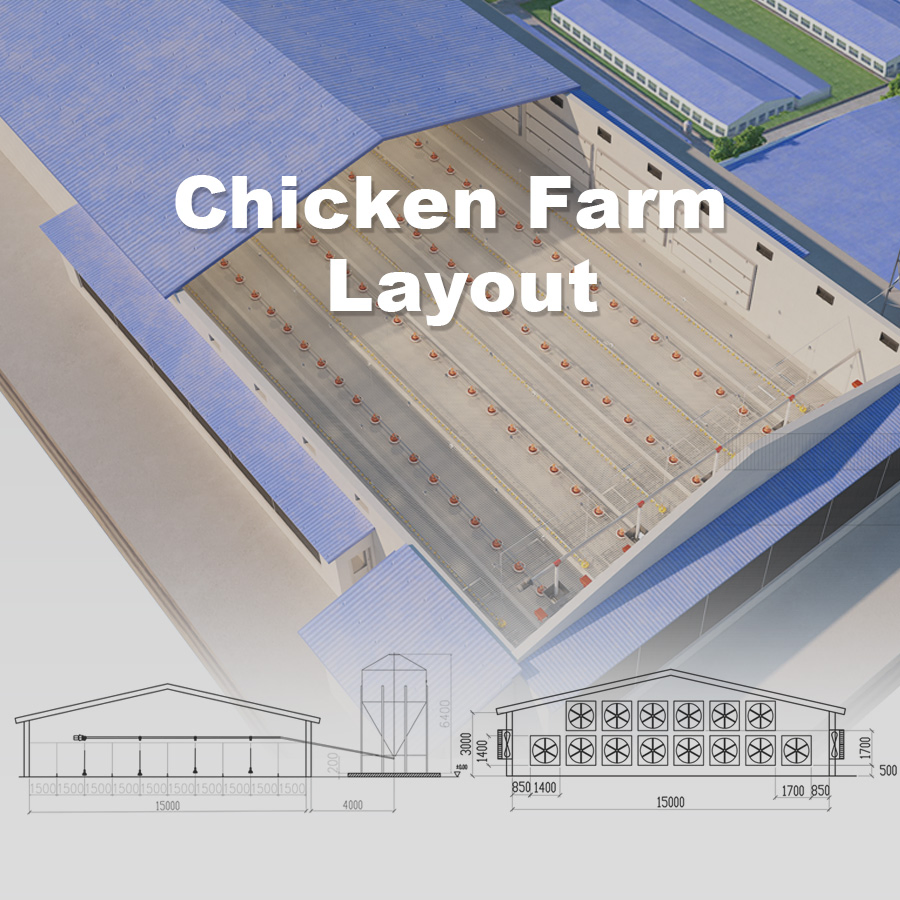 Steel structure poultry house Prefabricated steel chicken house chicken shed