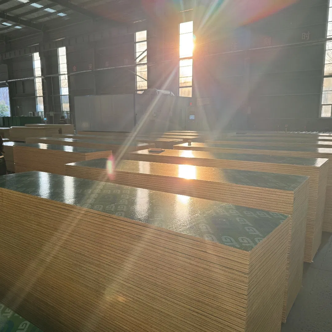 4X8 18mm Gt Film Green PP Plastic Plywood Sheet for Construction
