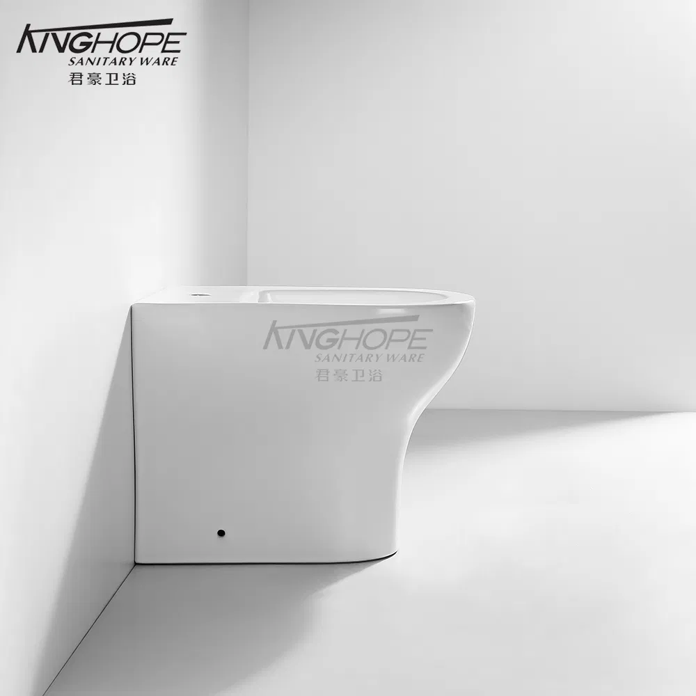 Modern Home Use Factory Direct Sale Floor-Mounted Bidet for Use with Toilet