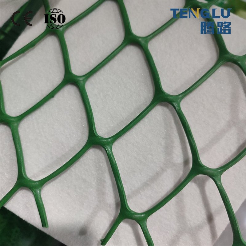CE Certified Modern Industrial Design Composite Geonet HDPE Plastic for Railway Drainage Earthwork & Garden Applications