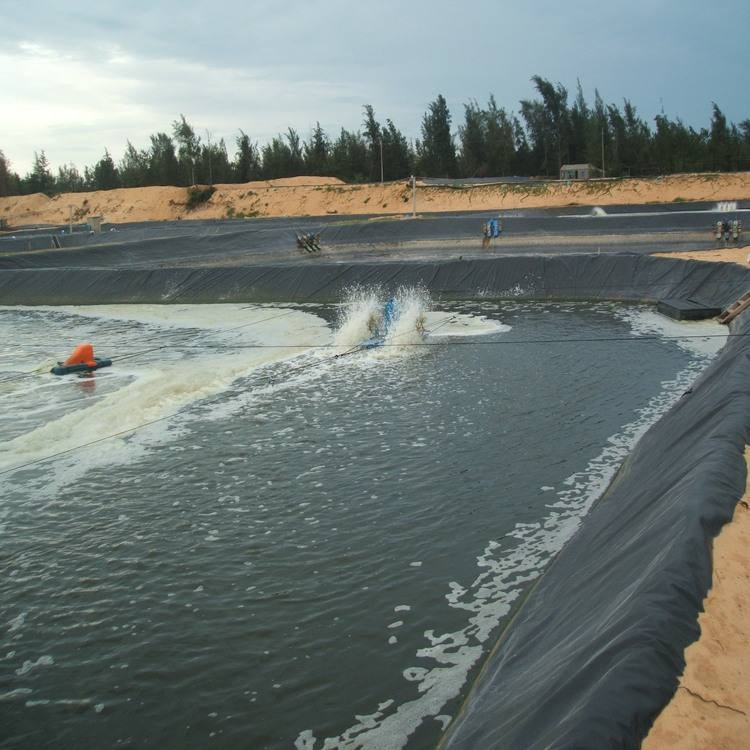Geosynthetics High Density Polyethylene Pond Liner Poly Pond Liner Geomembranes for Fish Farming in Thailand