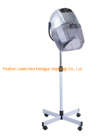 Hair Dryer Dressing Machine in Salon and Home Use