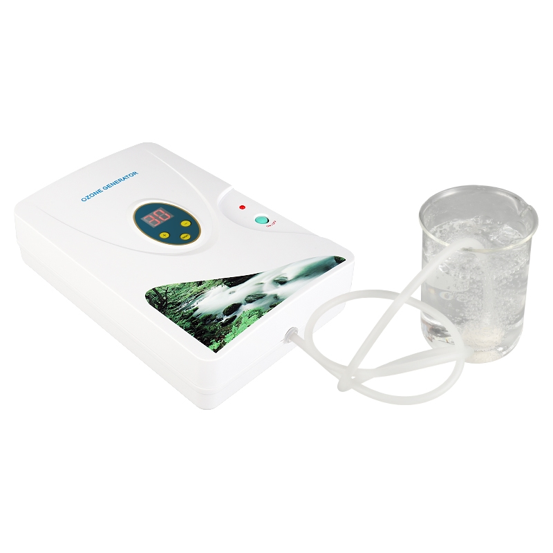 Wholesale Multifunctional Ozone - Powered Fruit and Vegetable Washer for Efficient Cleaning