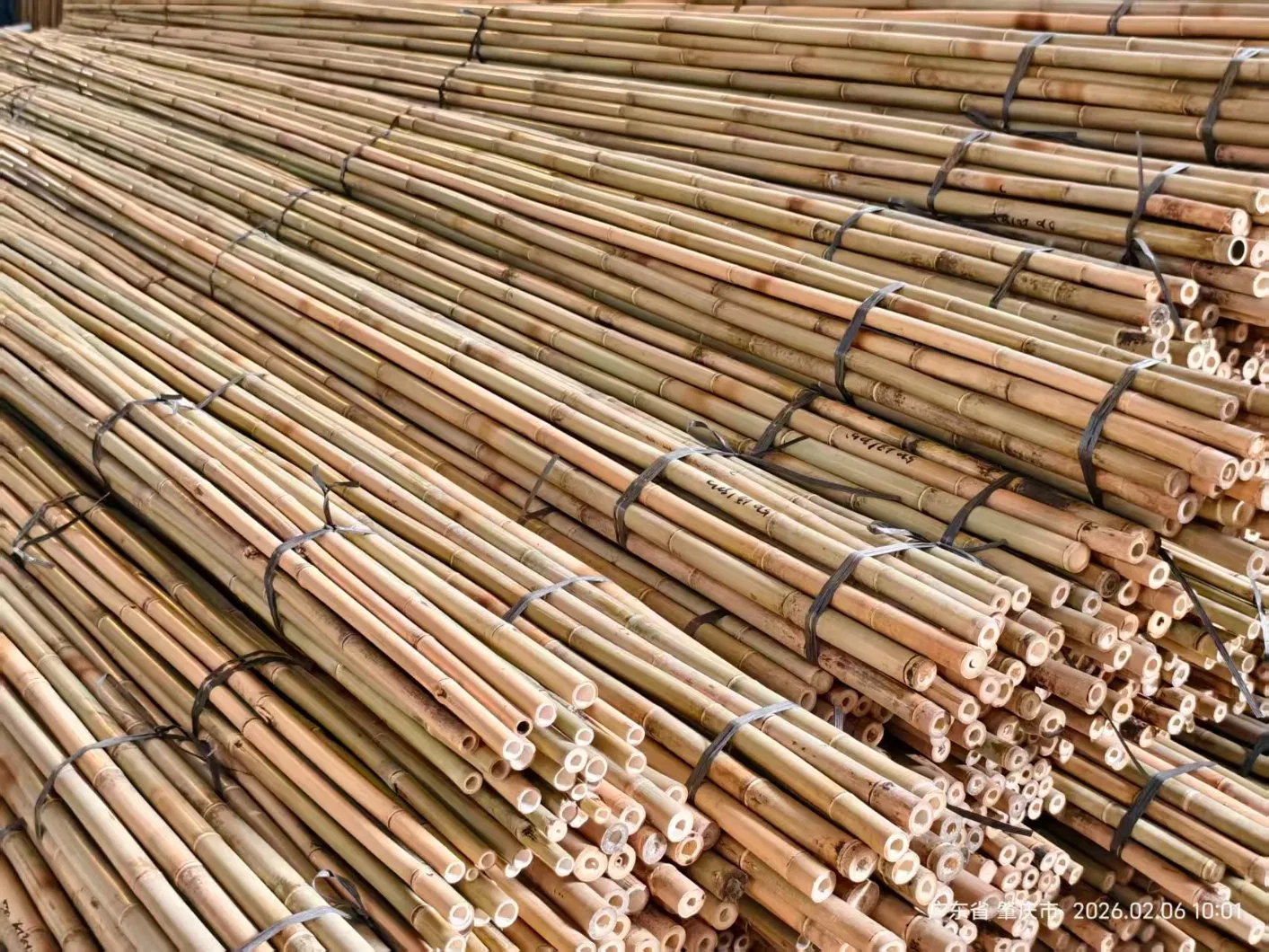 BBQ Bamboo Stick Flower Sticks for Flower Support
