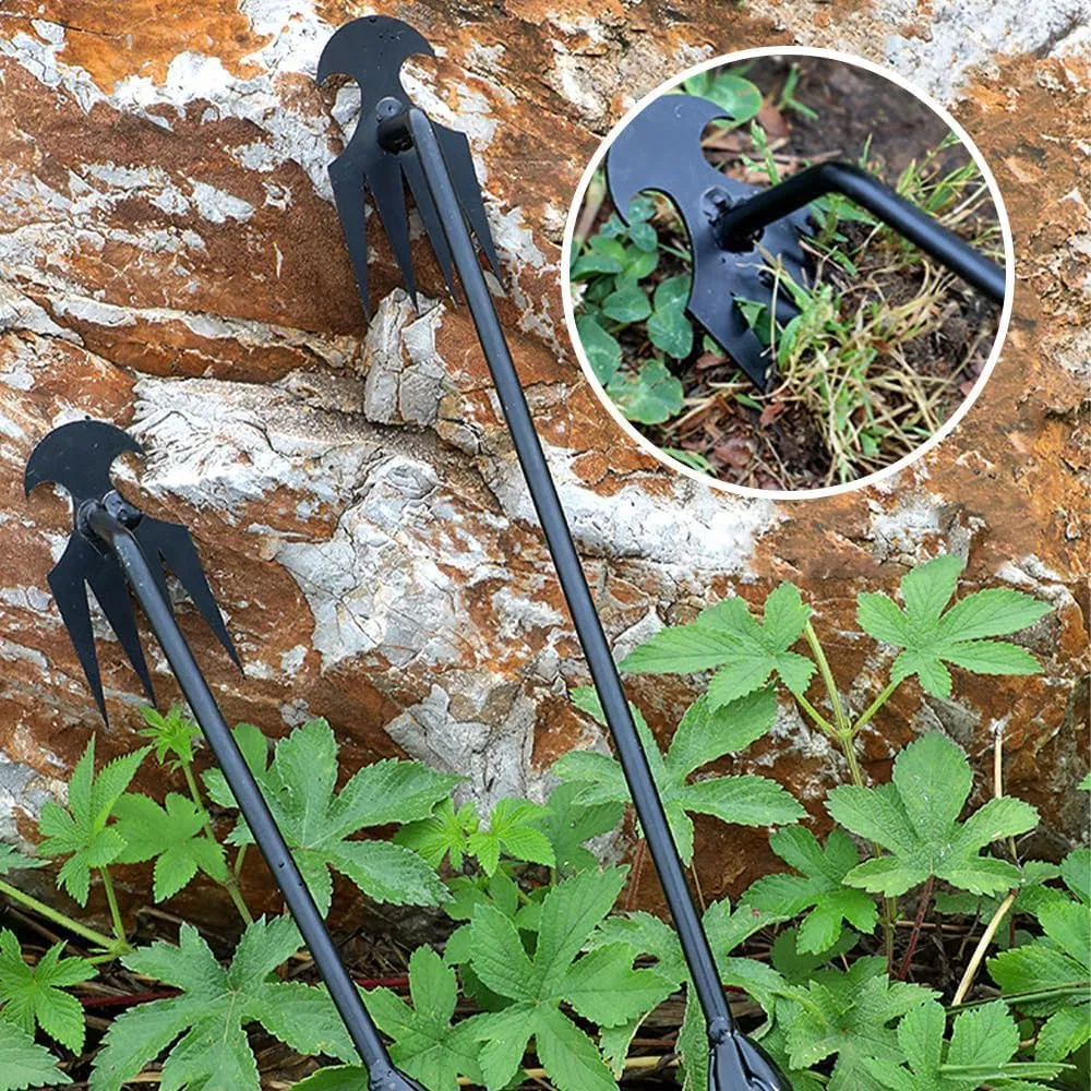 Ds-3422 2 Inch 2024 New Weed Pulling Tool 4 Teeth Black Painted Hand Weeder Efficient Weed Cleanup Tool Garden Weeding Tool Garden Hoe Factory Price