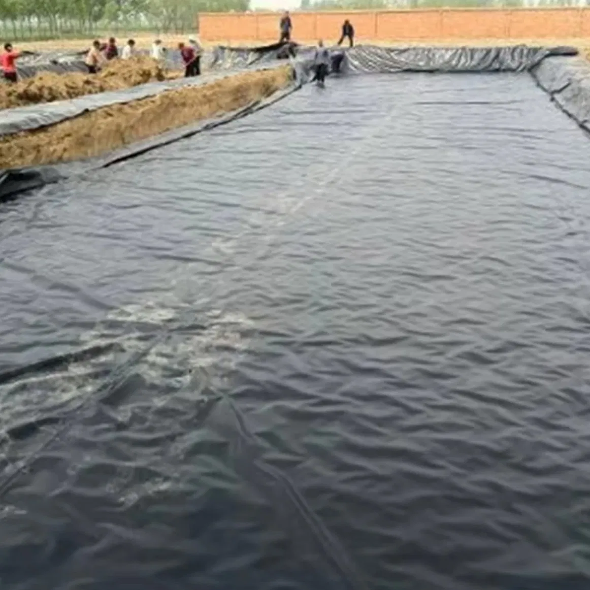 Customized Thickness Black HDPE Farm Fish Breeding Geomembrane