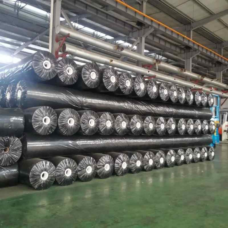 LDPE/HDPE Sealing Anti-Seepage Geotextile Film - Well Sealed, Impermeable, Used for Water Treatment