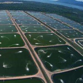 High-Density Polyethylene (HDPE) Geomembrane Liner for Reservoir Project in Tiland