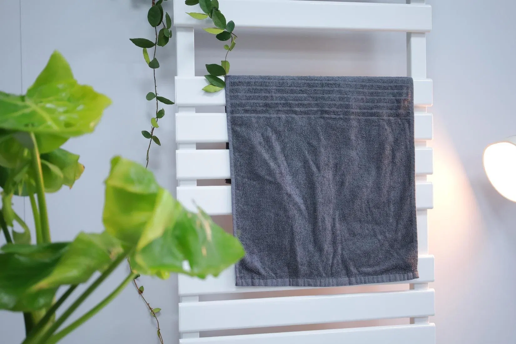 CE RoHS Ipx4 Room Temperature display 24h Timing Convection Heater & Towel Dryer