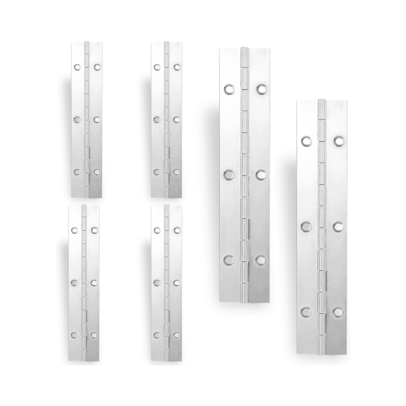 OEM Custom Ss 304 Ss 316 Car Door Hinge Long Continuous Piano Hinges for Caravan Truck Cabinet