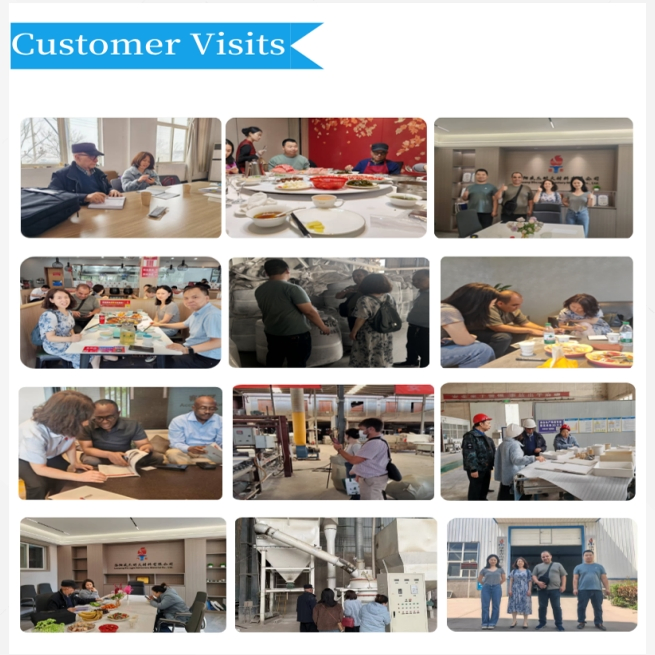 Vacuum Insulation Panel VIP STP Building Insulation Material Wall Roof R Value