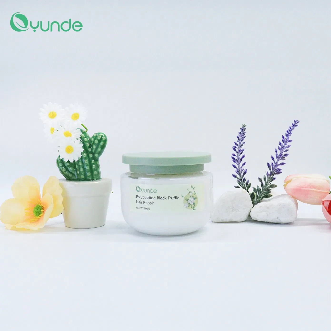 Plant Extract Ingredients, Black Truffle Moisturizing Conditioner