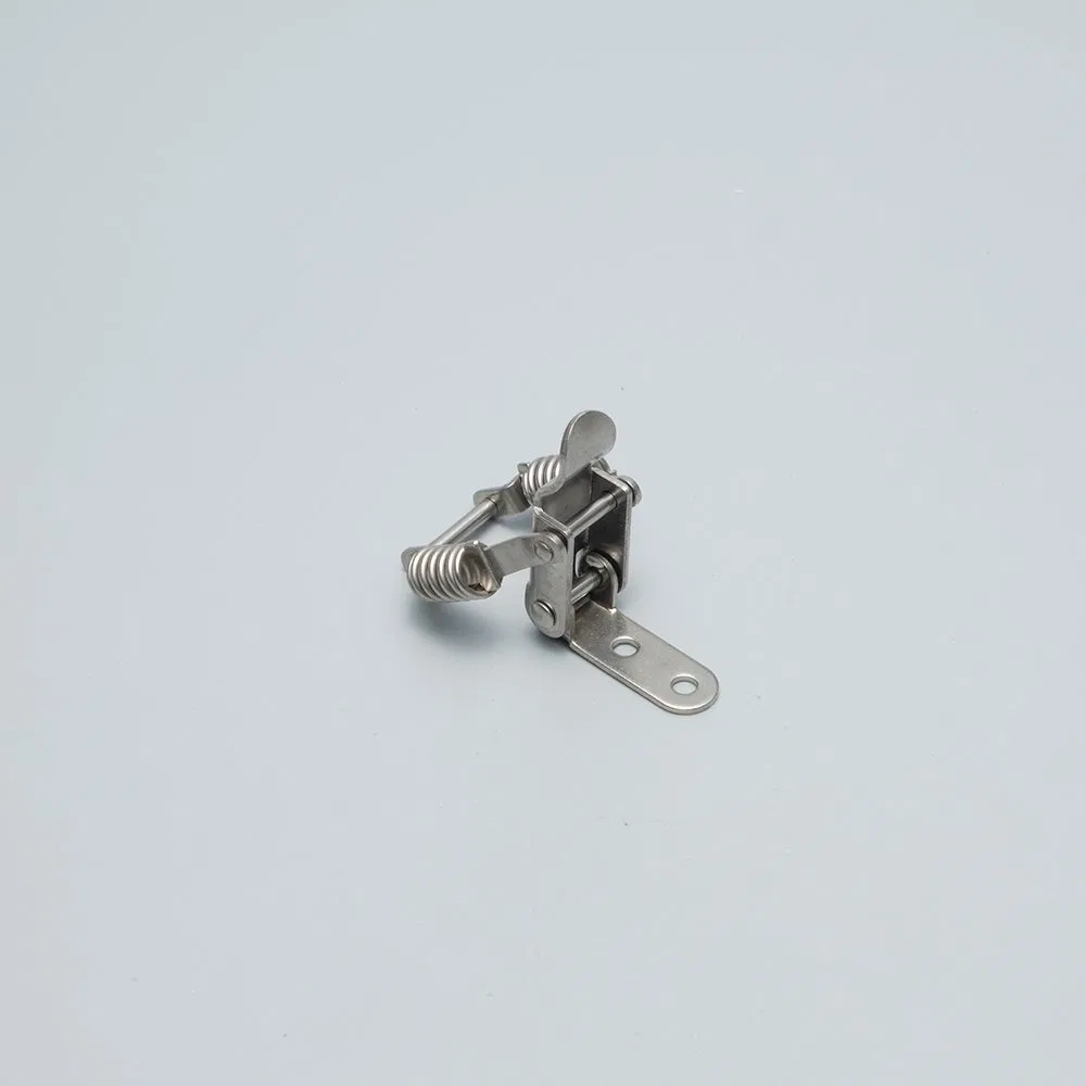 Stainless Steel Spring Loaded Toggle Clamp Latch Clips