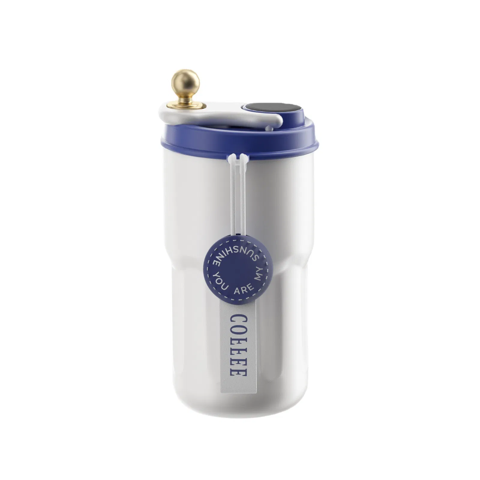 Eco-Friendly 316 Stainless Steel Water Bottle with Tea Infuser Direct Insulation Classic Coated Straight Shape for Camping