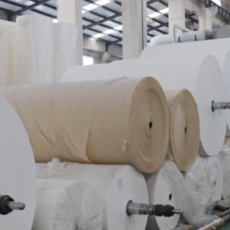 Wholesale Bamboo Pulp Mother Jumbo Reel for Making Toilet Paper Roll