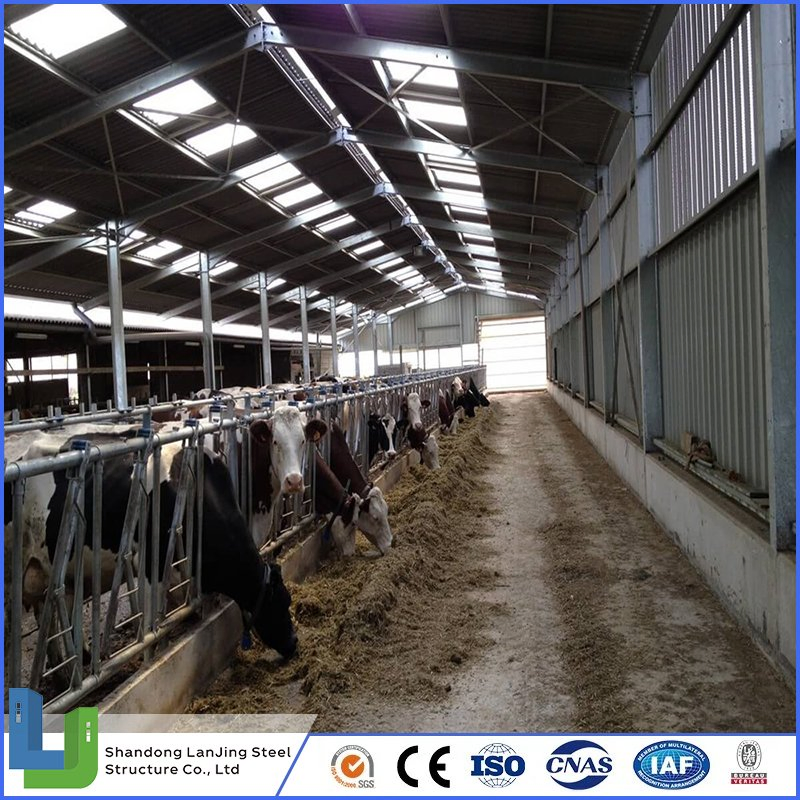 Industrial Stable Wholesale Modern Prefab Sandwich Panel Heavy Steel Structure for Frame Storage Steel Structure Building Construction
