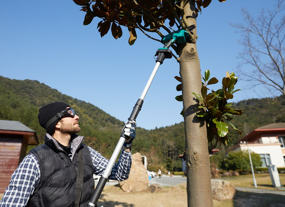 Liangye Cordless Branch Pruning Tools 20V Battery Pole Chain Saw