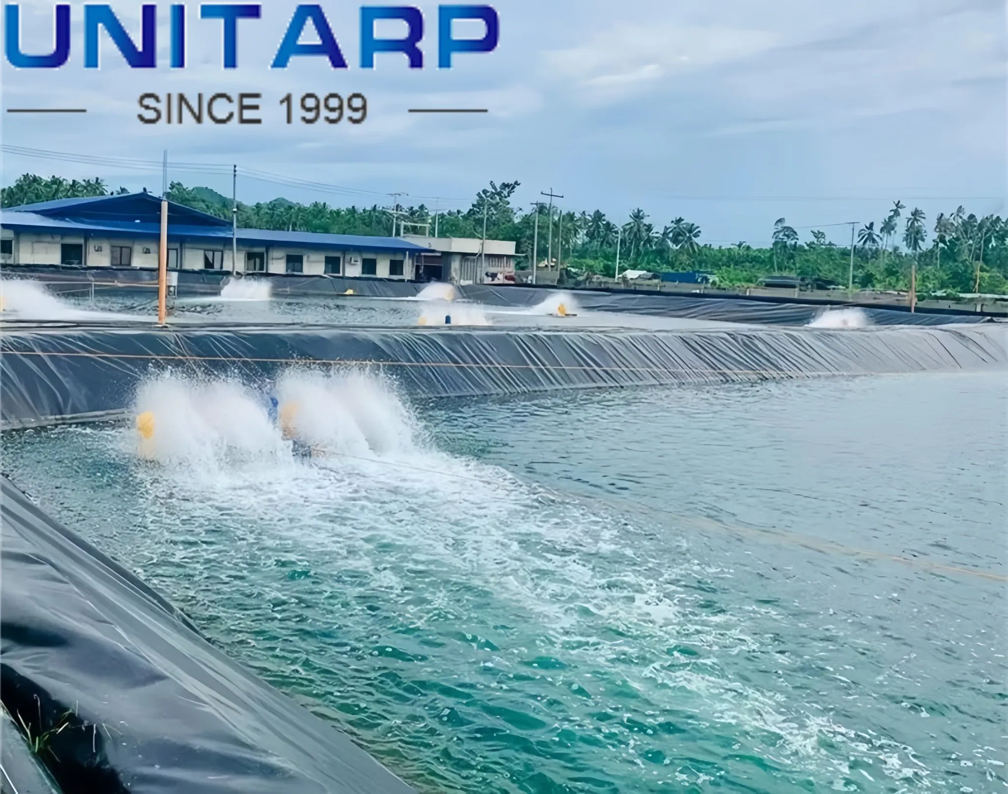 High Quality Black Polyethylene (PE) Pond Liner Geotextile for Agriculture