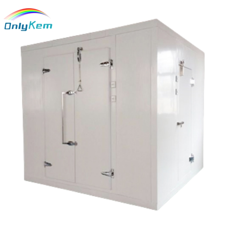 Sandwich Panel Cold Storage Cool Chamber Room with Condensing Refrigeration Unit