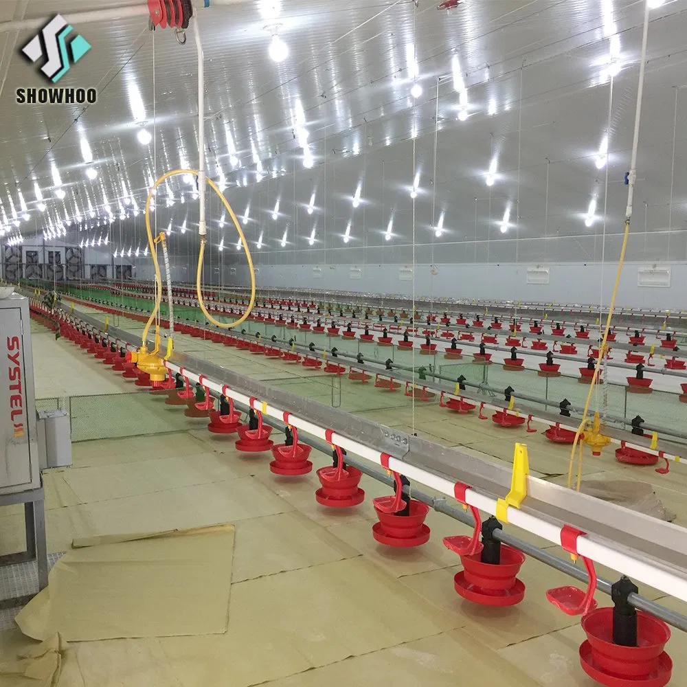 Modern Low Cost Quick Build Sound Proof Close EPS Panel Steel House Poultry Farm Control Shed Chicken Farm in Pakistan