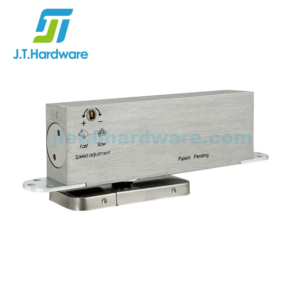 Concealed Wooden Door Hardware Adjustable Center Bottom Pivot for Factory Price