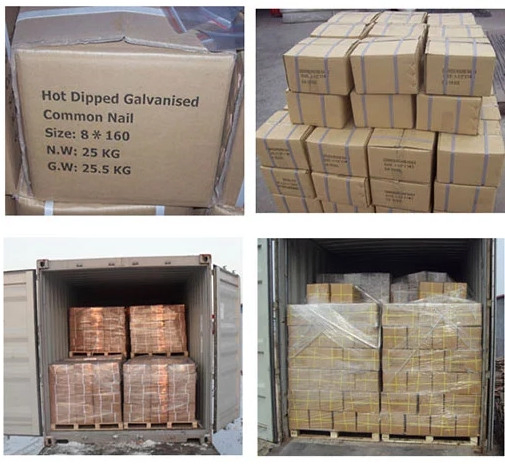 High Strength Galvanized Roofing Nails